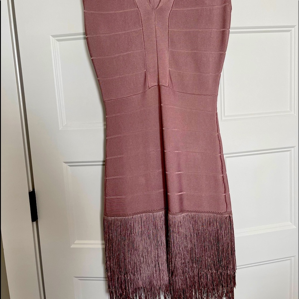 Rose fringe dress